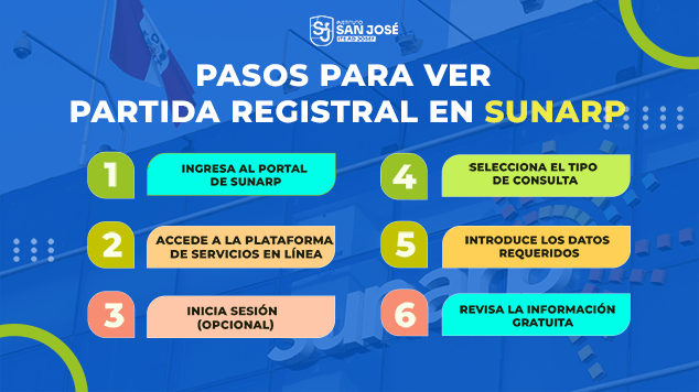 Cómo ver una Partida Registral en la Sunarp (2025)